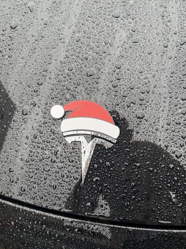 Weihnachtsmütze für tesla - weihnachtsmütze,